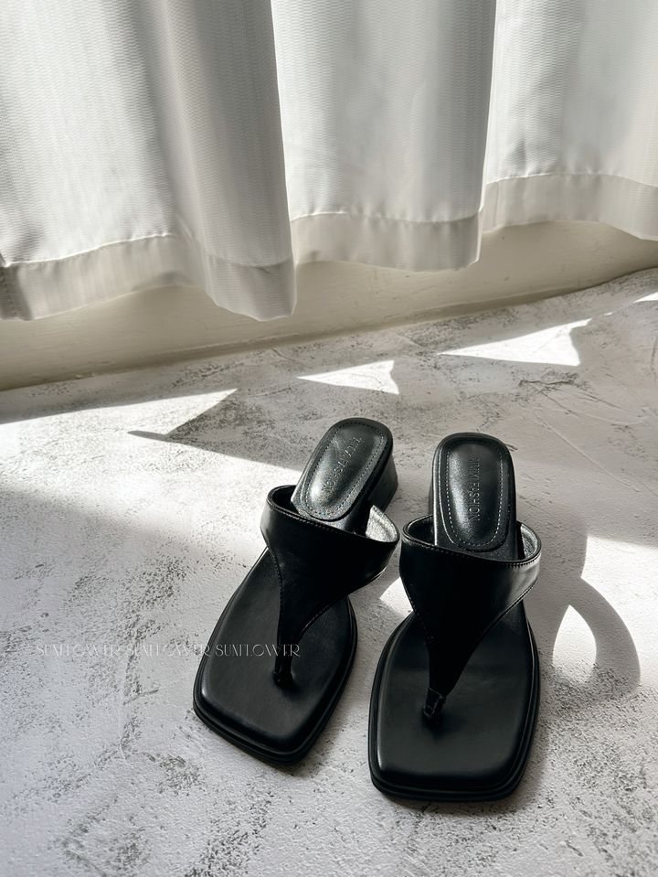 S__31039510