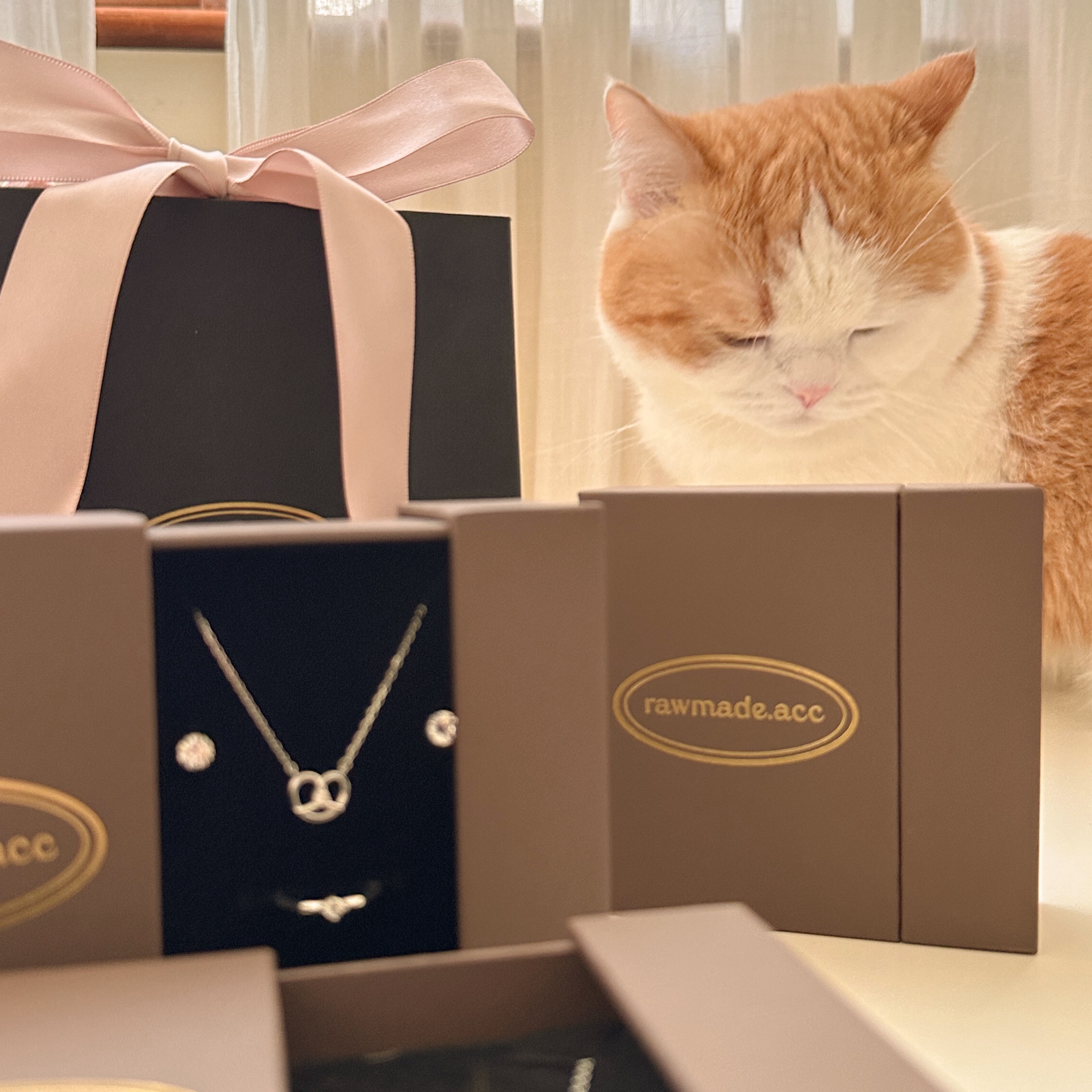 image_868CBDC1-9278-4762-83A6-A886020A3A64_1762765535