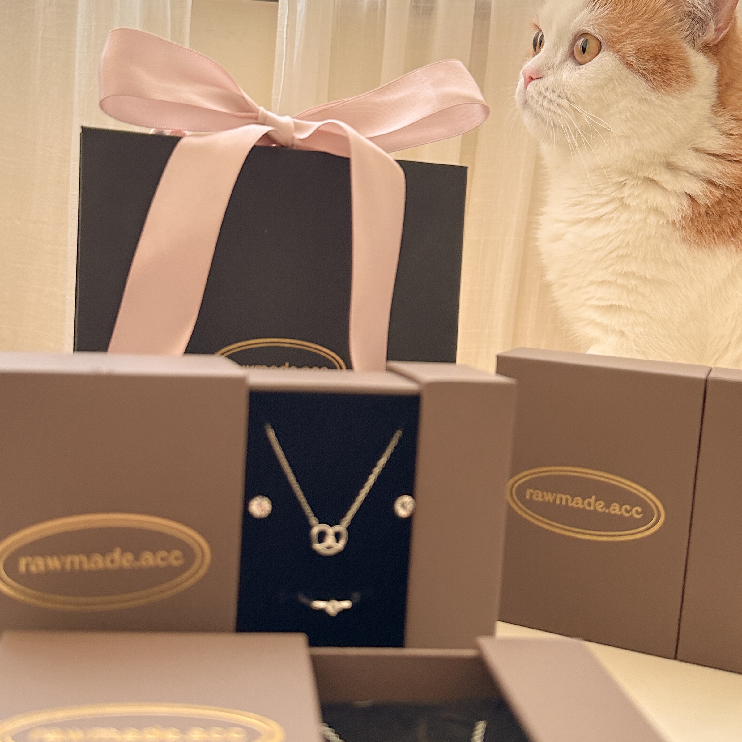 image_00AFE181-2671-4962-932C-413EF4E8FCD9_1762765535