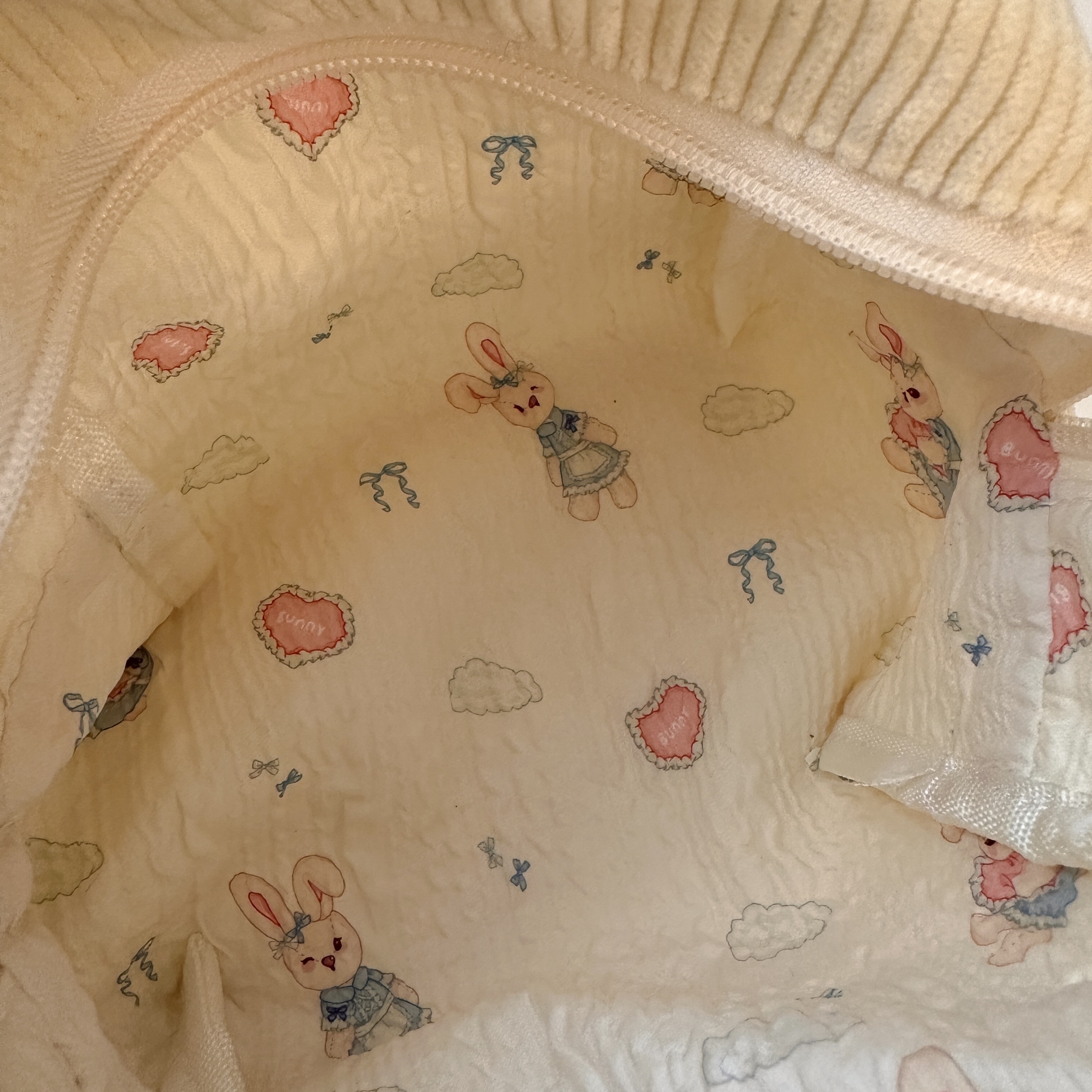 image_68C961F0-6864-46C5-9BAB-014436557168_1762834333