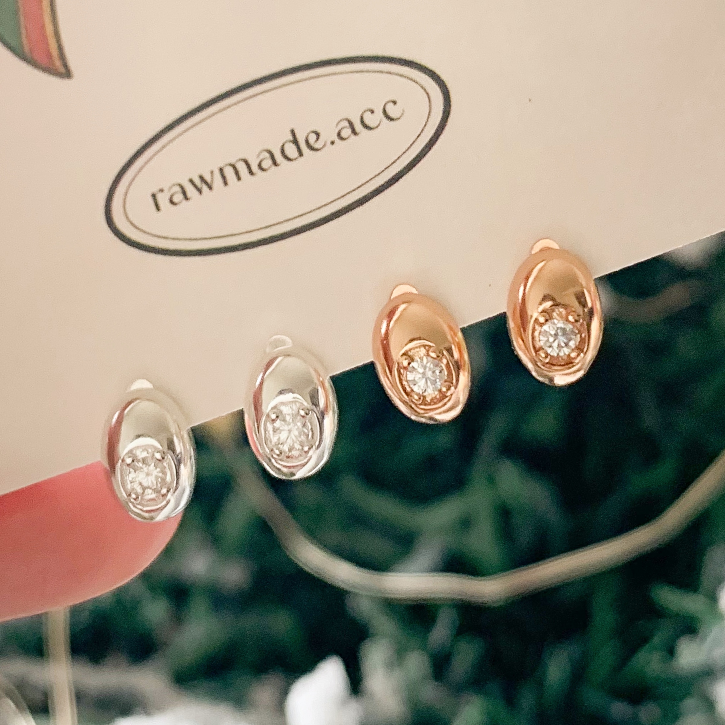 image_AFB53469-4867-4314-B7A9-D417DC1A63BD_1765381688