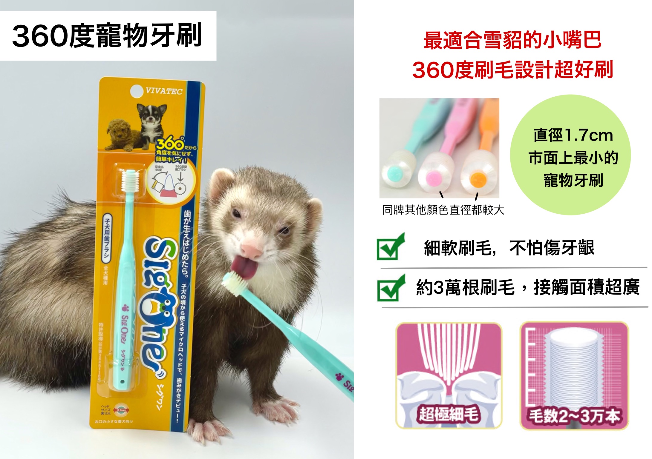 商品介紹_雜貨_15A寵物牙刷