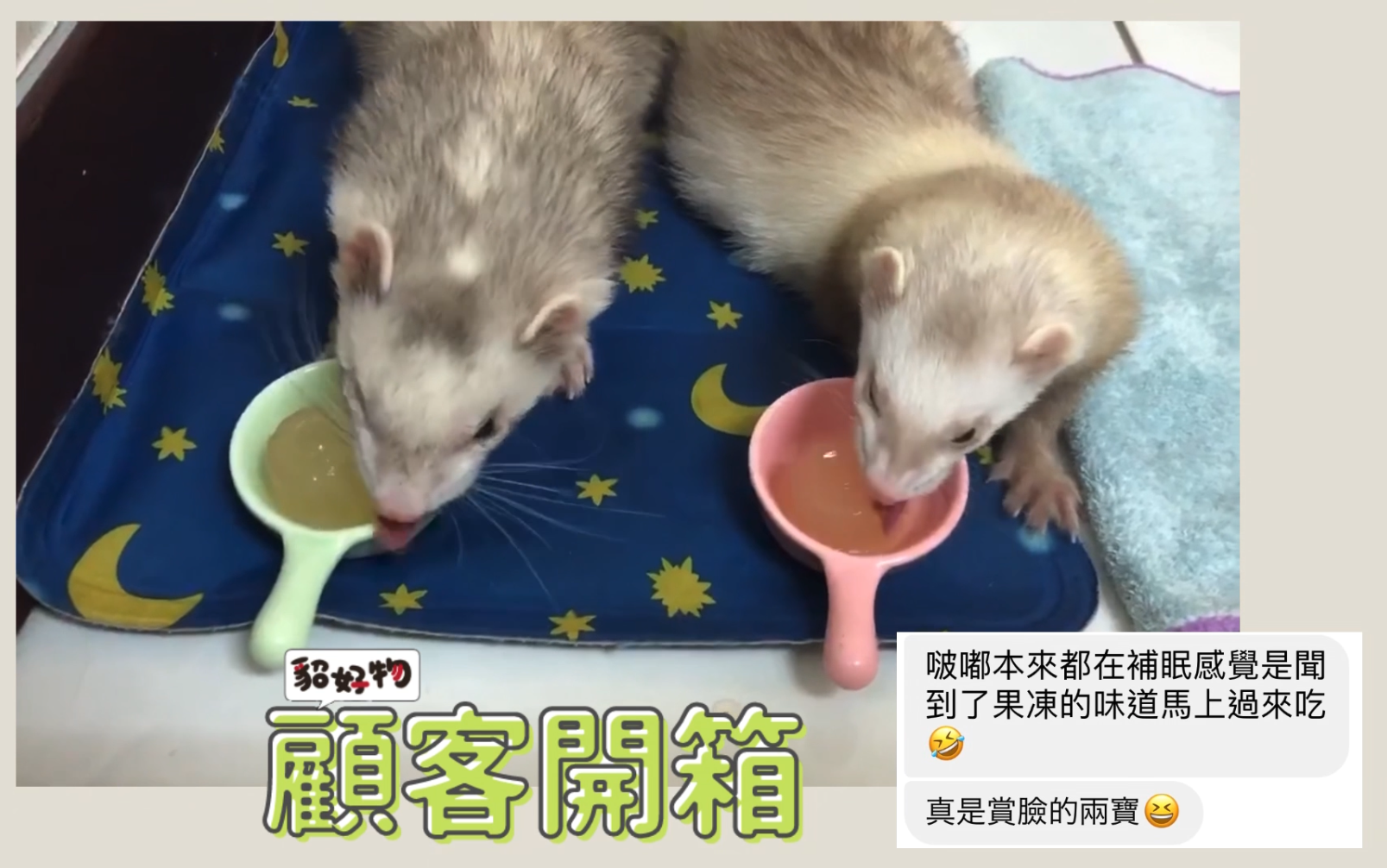 心得-零食-06雞肉果凍※2.PNG