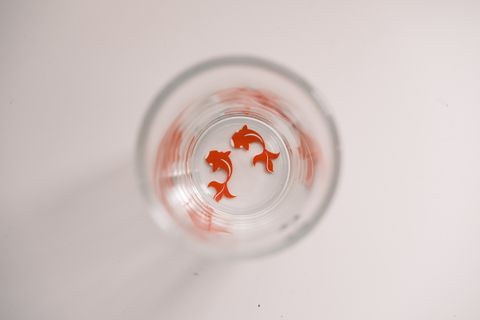 DSCF8227