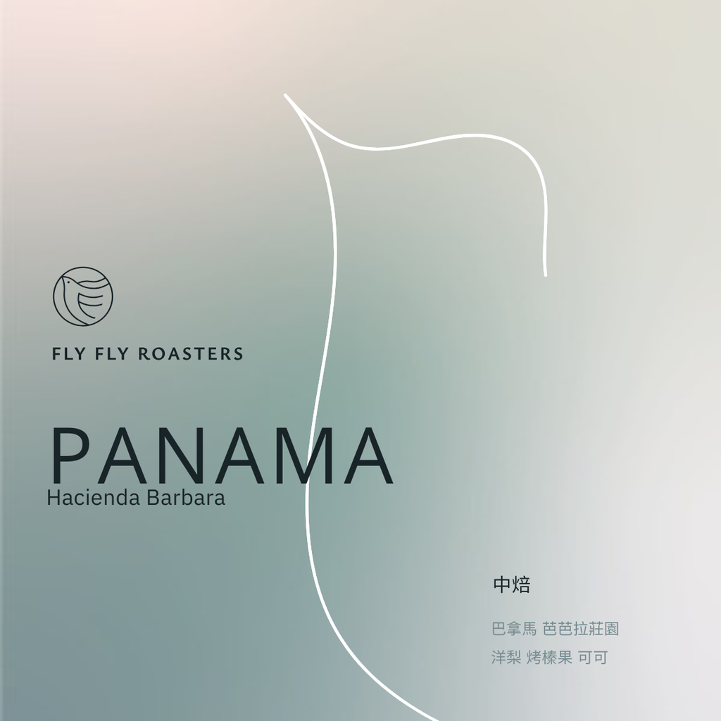 2024官網用豆子圖檔_Pana