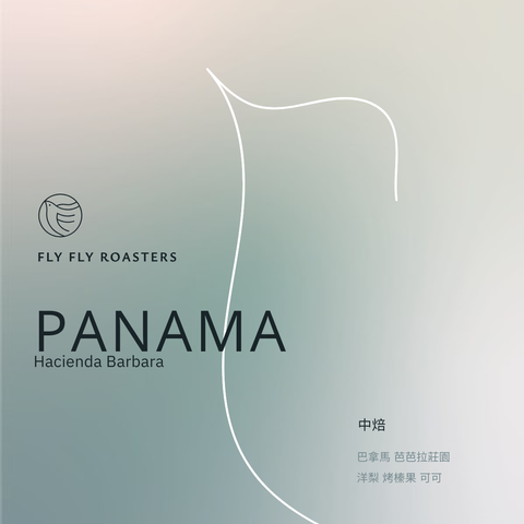 2024官網用豆子圖檔_Pana