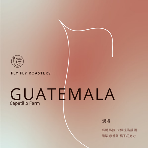 2025官網用豆子圖檔_Cap