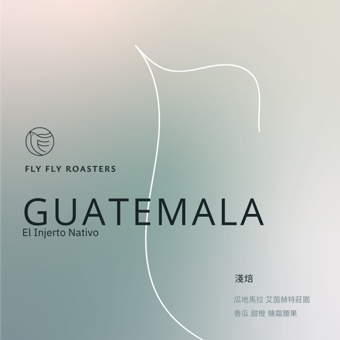 2025官網用豆子圖檔_Inj