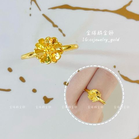 LINE_ALBUM_💻412固定戒①10個_260415_4