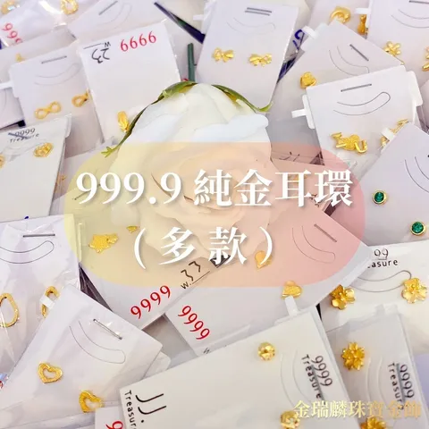 49216205