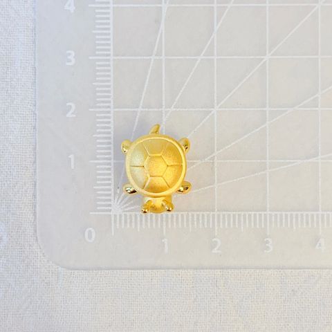 55076062
