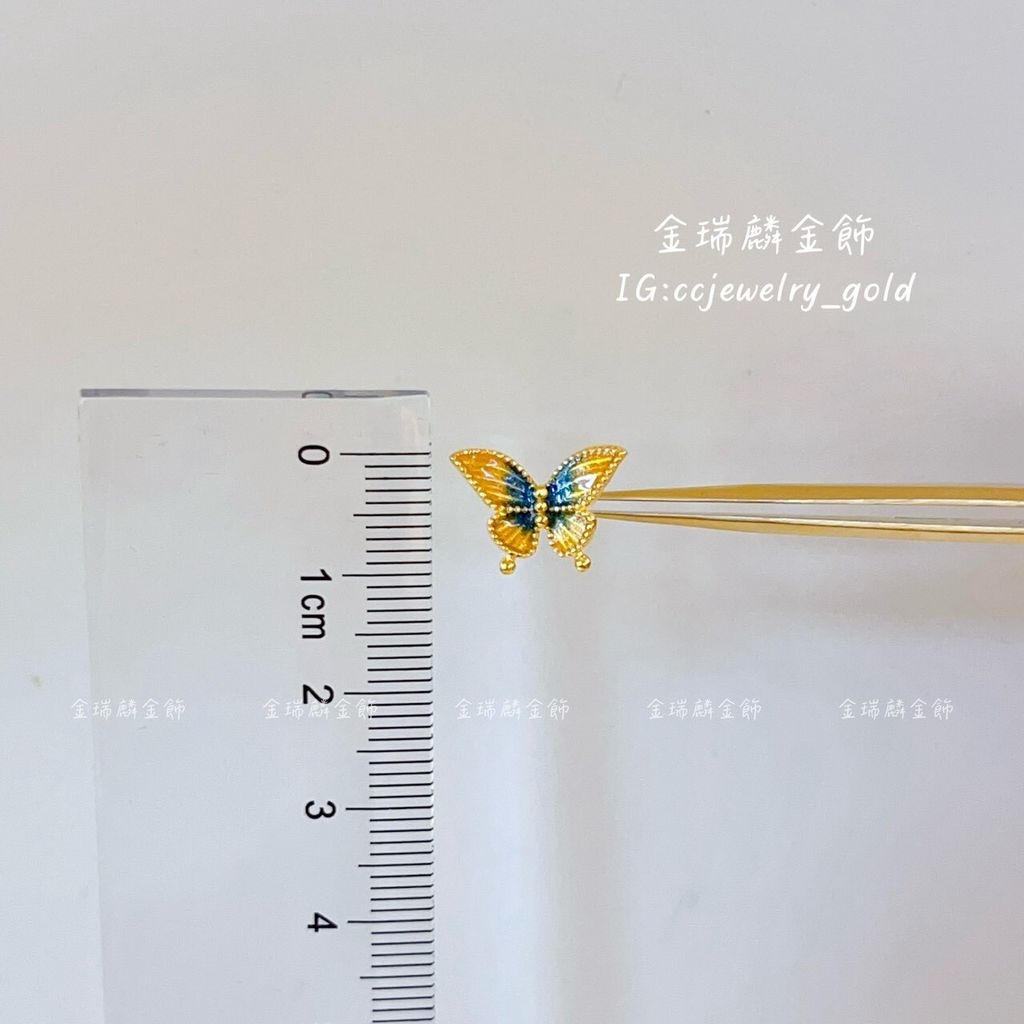 LINE_ALBUM_💻1229 耳環②10個_260110_27