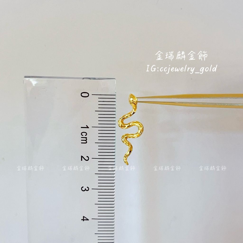 LINE_ALBUM_💻1229耳環③10個_260110_35