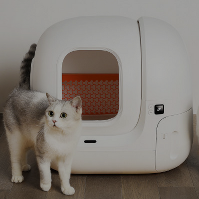 Auto Litter Box