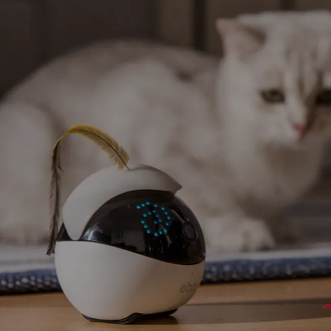 Blackmimi |  - SMART PET TOY