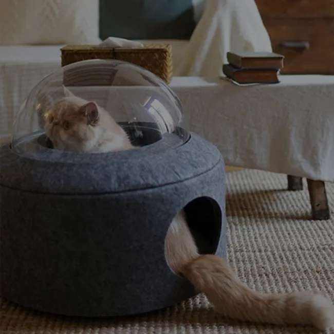 Blackmimi |  - BED & TENT