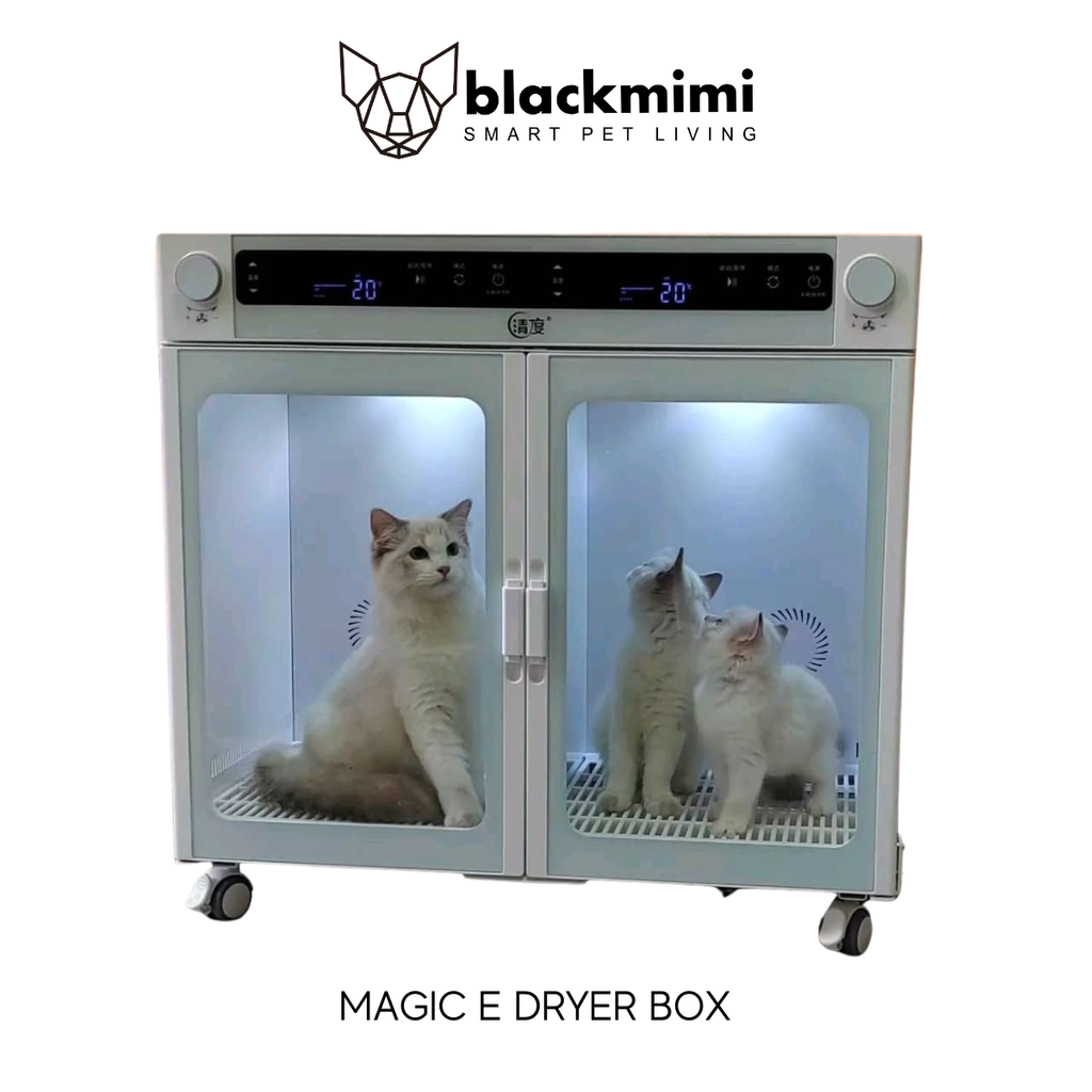 Copy of FOAM FILTER SET (1)