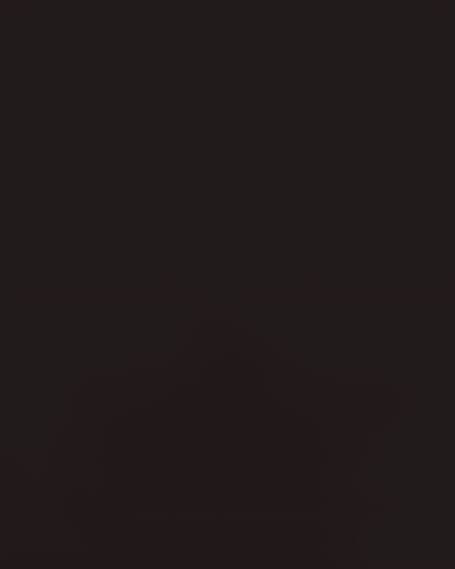 https://cdn.store-assets.com/s/934150/f/17186387.jpeg