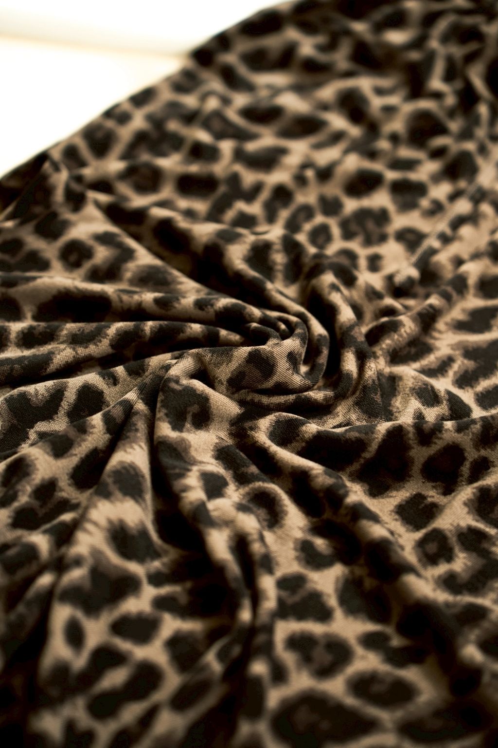 LINE_ALBUM_9-1_素材_250905_31