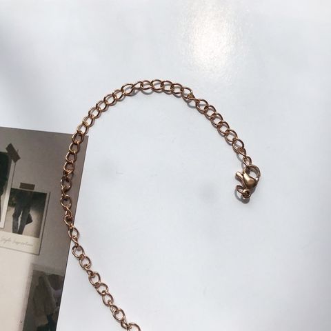 Stainless steel Extension Chain