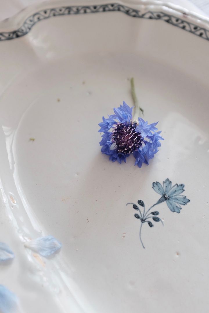 DSCF6057
