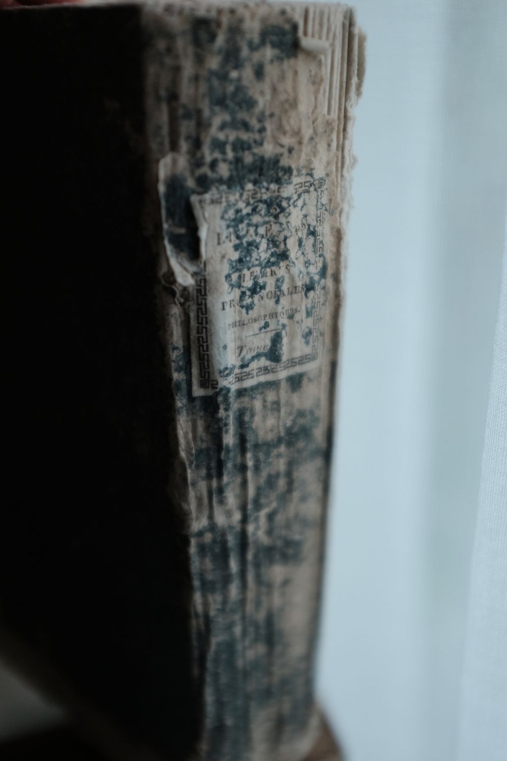 DSCF7437