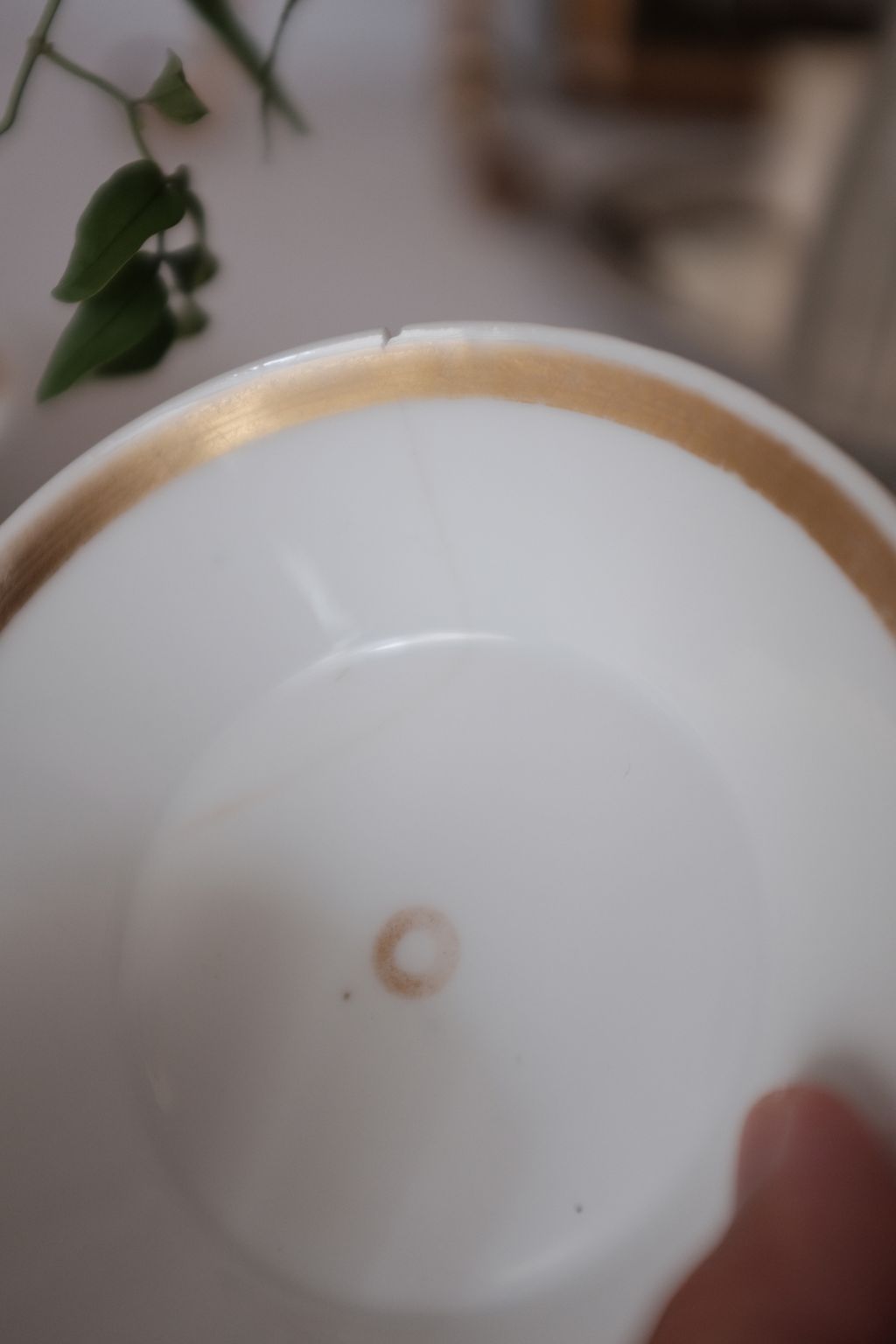 DSCF7826