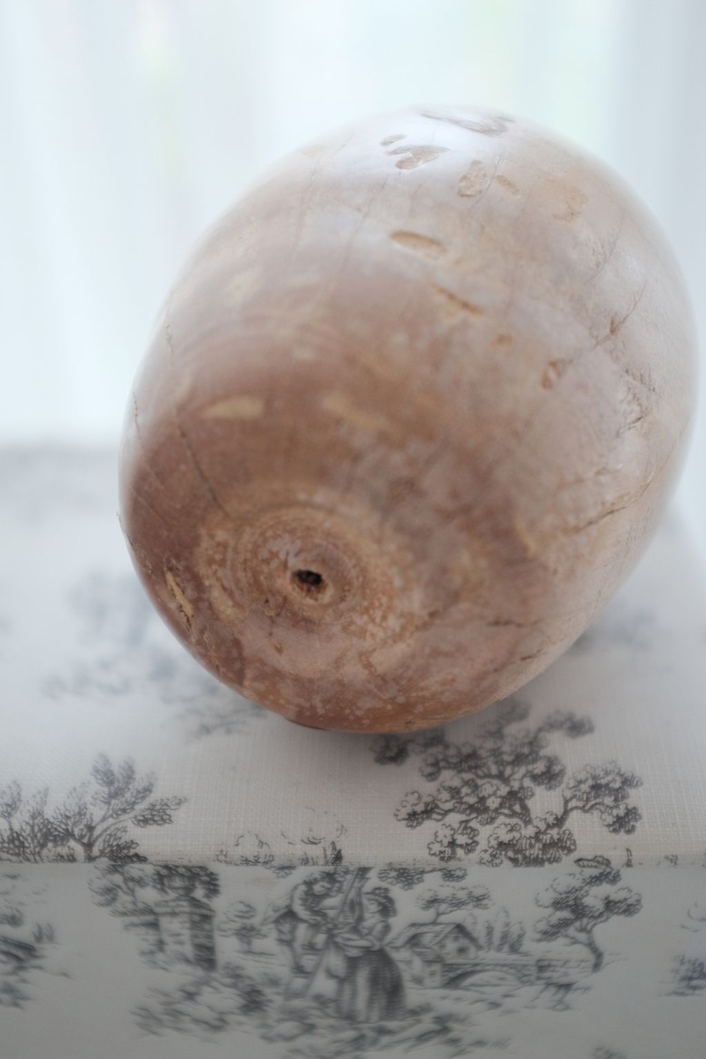 DSCF8525