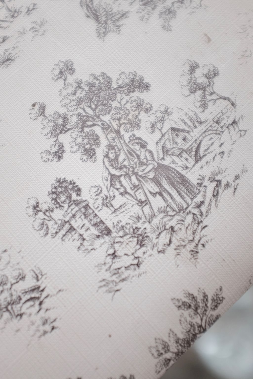 DSCF7560