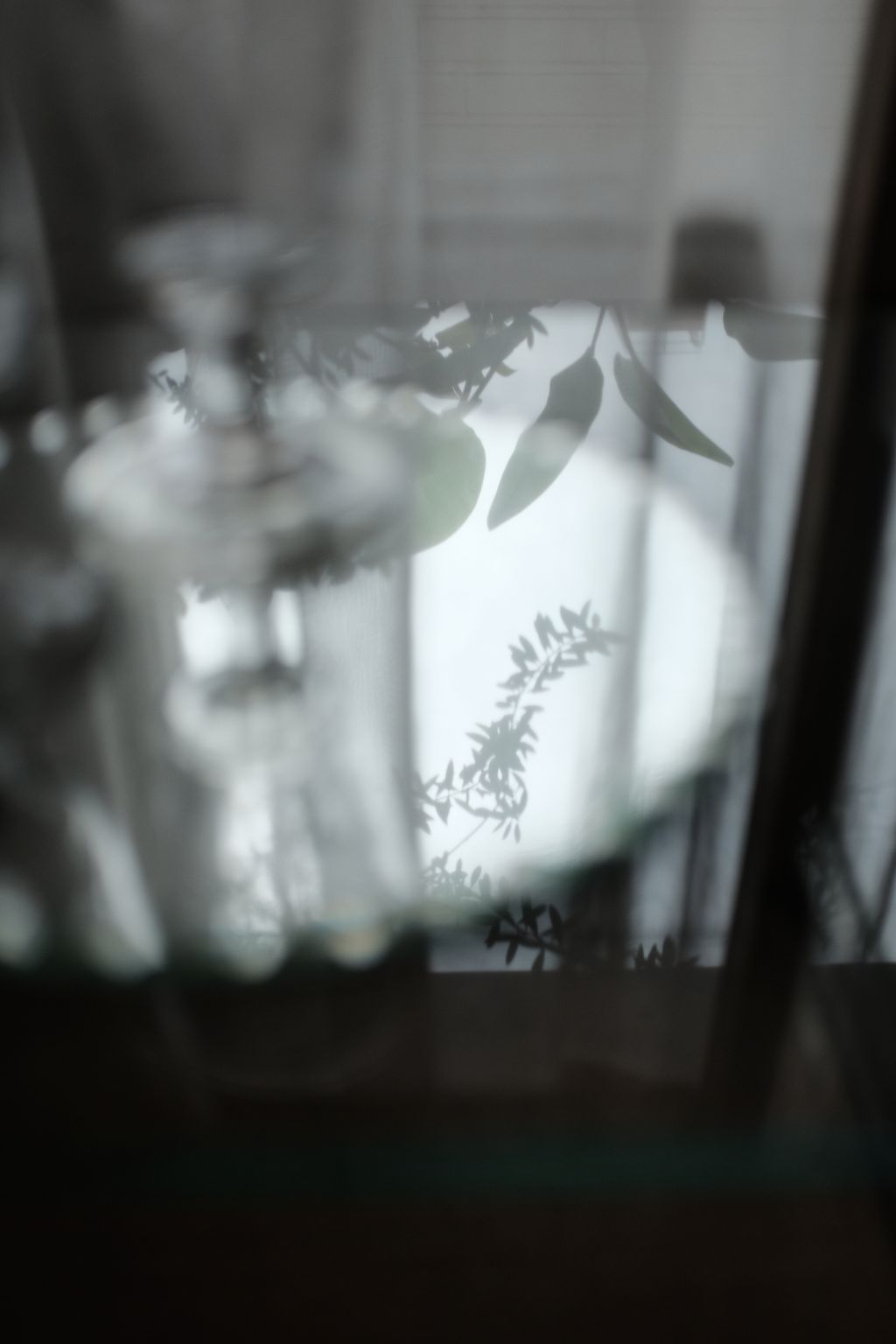 DSCF7614