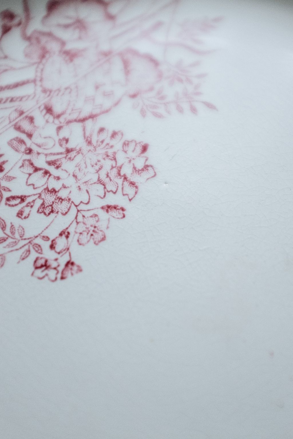 20250529-Sunshinephoto-missvintage-136 拷貝