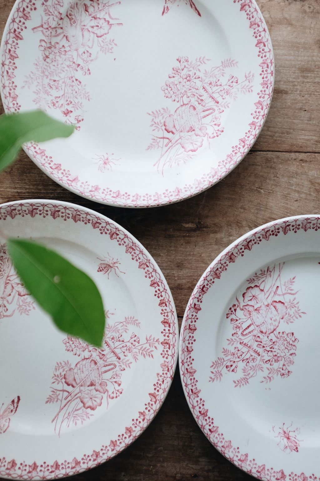 20250529-Sunshinephoto-missvintage-133 拷貝