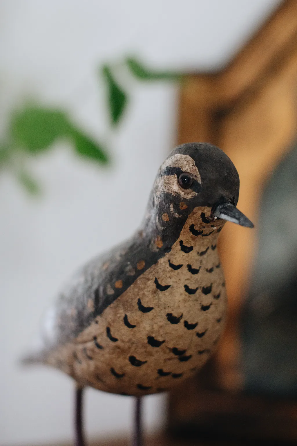 20250529-Sunshinephoto-missvintage-68 拷貝