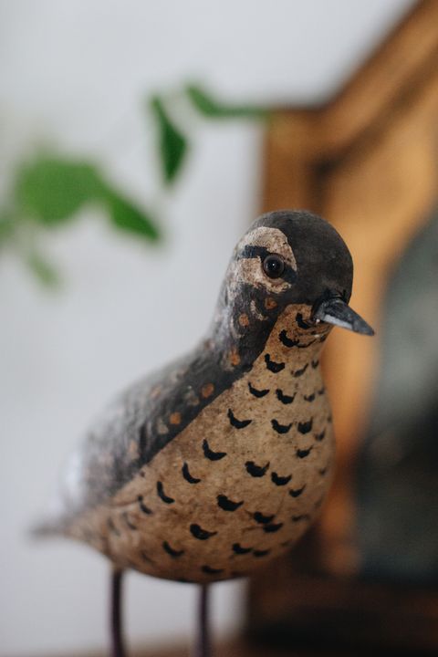 20250529-Sunshinephoto-missvintage-68 拷貝