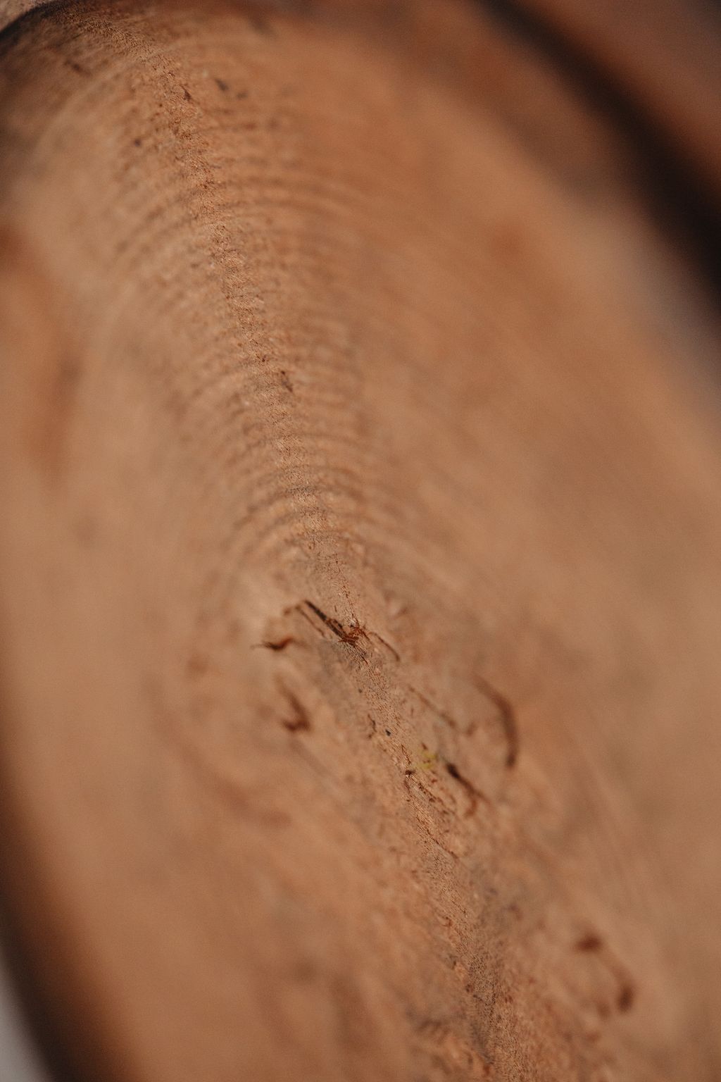 20250715-Sunshinephoto-missvintage-195