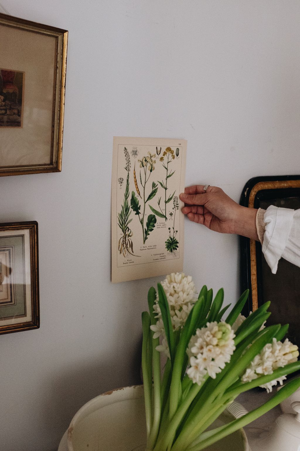 20260108-Sunshinephoto-missvintage-157 拷貝 2