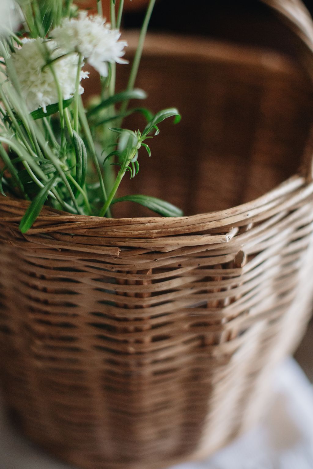 20260108-Sunshinephoto-missvintage-27