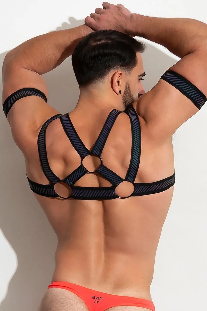 imgi_6_THEPACKUNDERWEAR_FLASHTECHCHESTHARNESS_BLACK_03