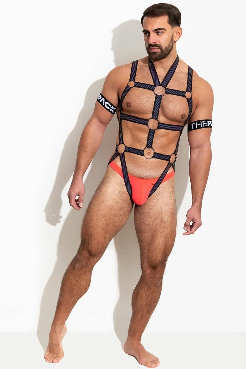 imgi_6_THEPACKUNDERWEAR_FLASHTECHBODYHARNESS_BLACK_07