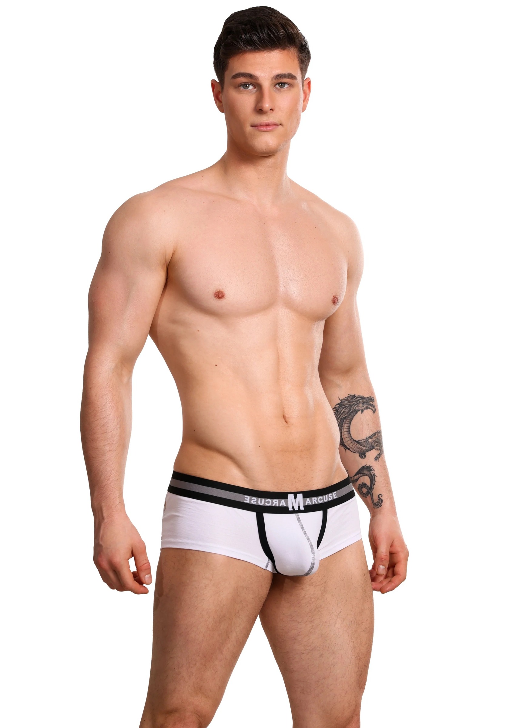imgi_127_Resized_Vertioboxerwhiteside1
