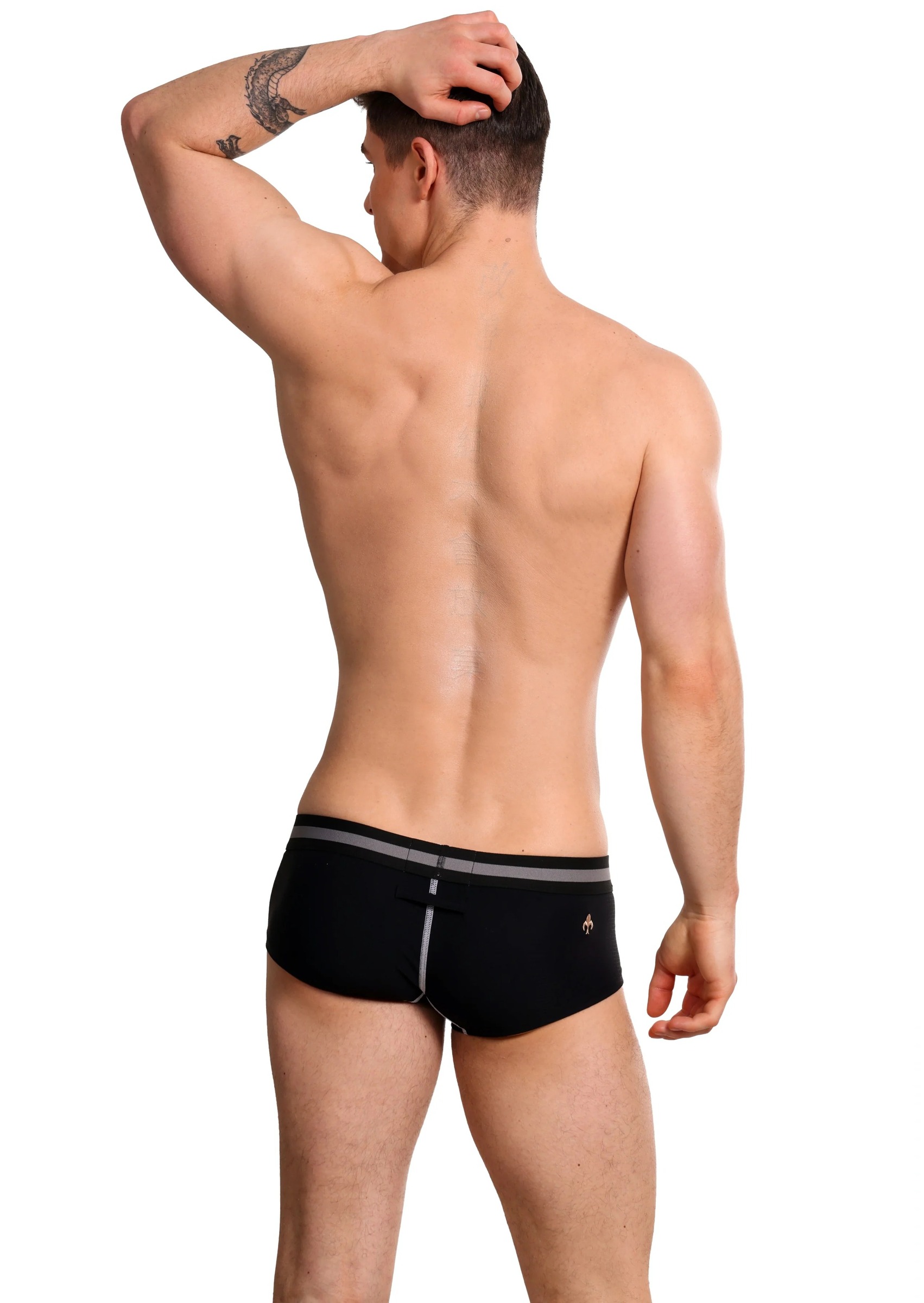 imgi_112_Resized_Vertioboxerblackback