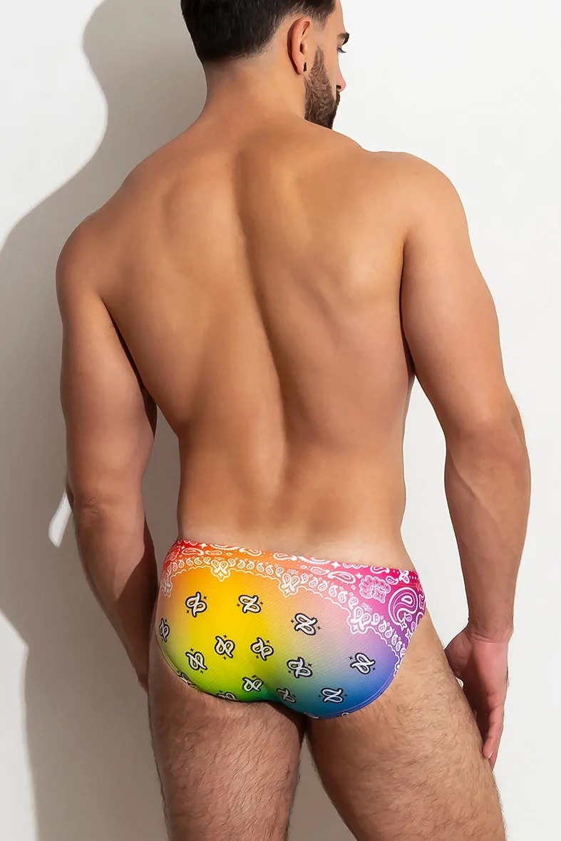imgi_4_THEPACKUNDERWEAR_PRIDEBRIEF_06
