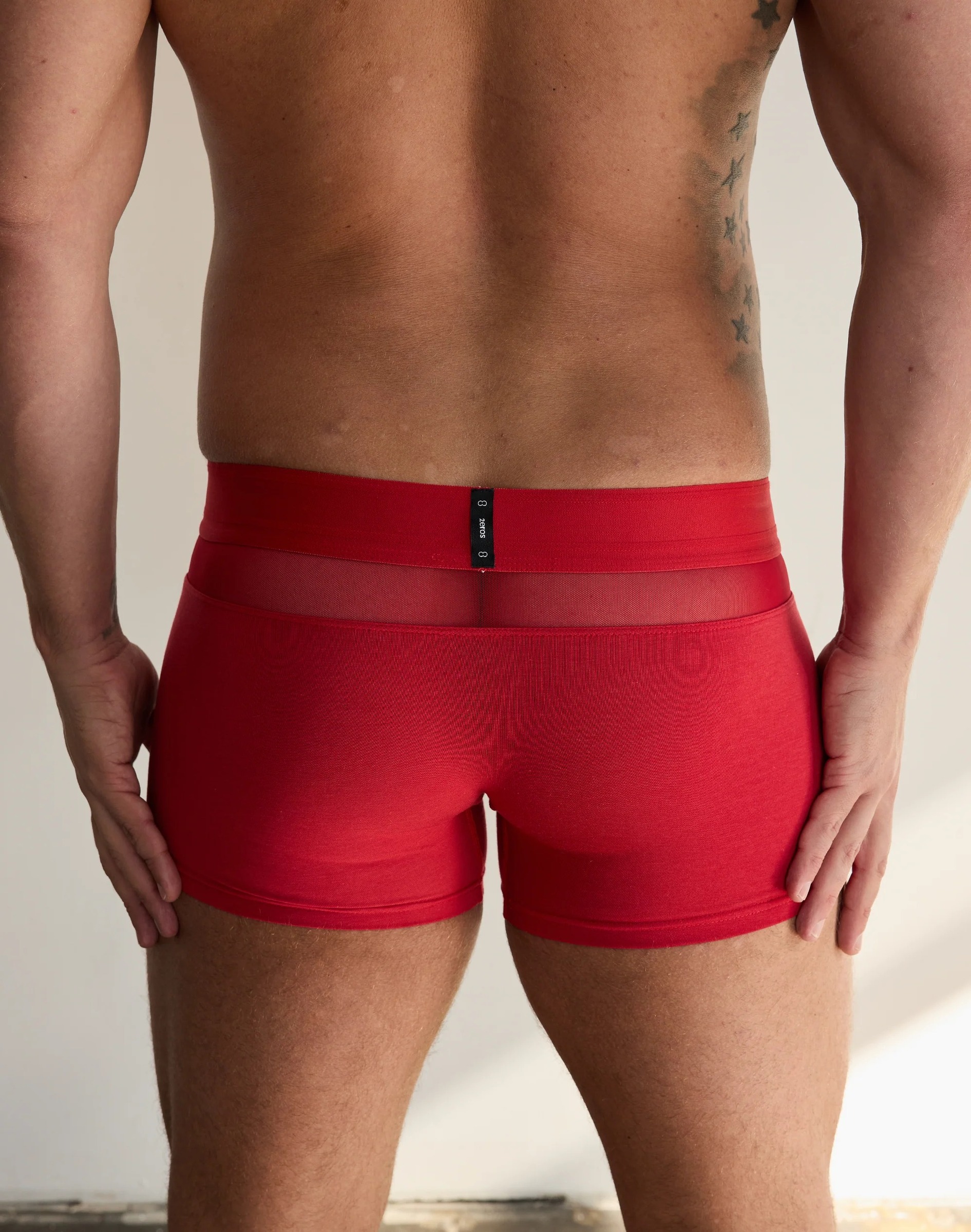 imgi_10_Morpheus-trunk-red-back