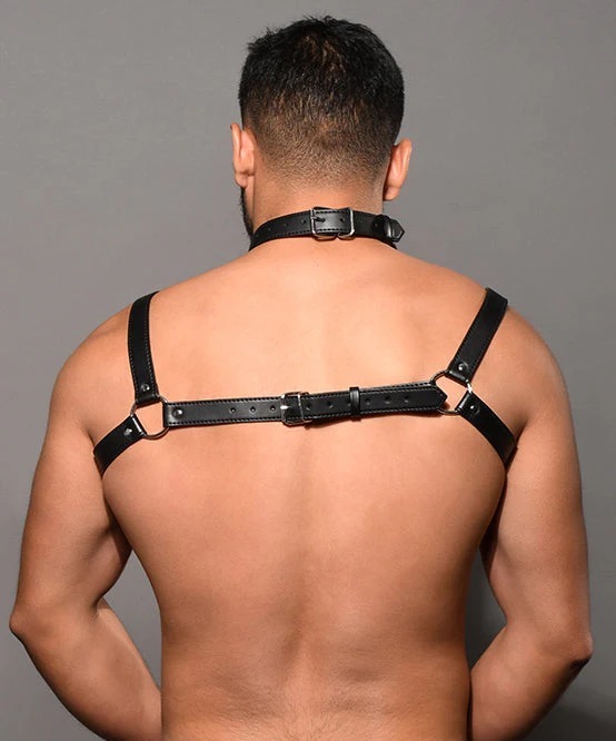 imgi_89_3259_harness_05_1