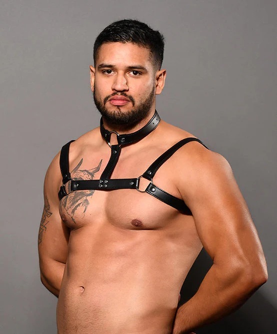 imgi_86_3259_harness_02