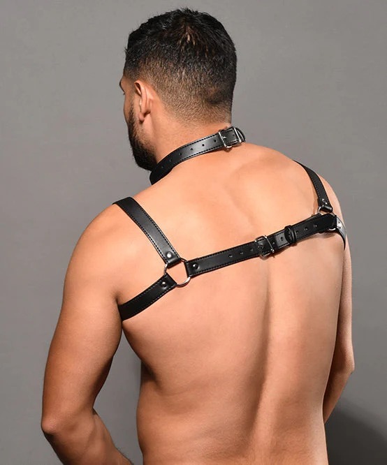 imgi_88_3259_harness_04