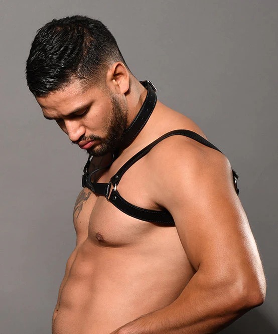 imgi_87_3259_harness_03