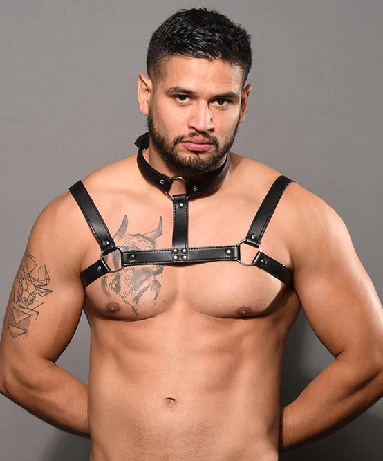 imgi_85_3259_harness_01