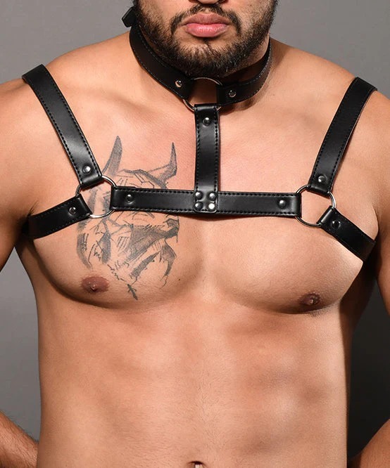 imgi_84_3259_harness_06_1
