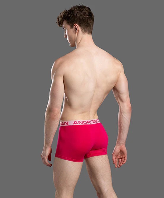 imgi_97_93816Boxer05